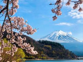25-Day Japan & South Korea Adventure: Tokyo to Osaka &  Seoul to Jeju Island