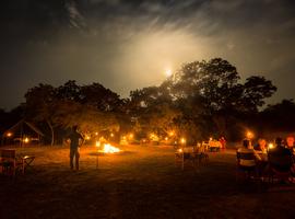 Sri Lanka Family Holiday: Elephants, Temples & Beaches