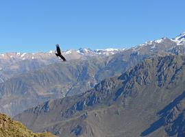 Lares Trek to Machu Picchu & Panoramic Train - 4 Days