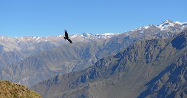 Lares Trek to Machu Picchu & Panoramic Train - 4 Days